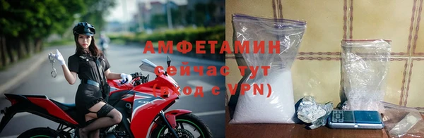 ПСИЛОЦИБИНОВЫЕ ГРИБЫ Богданович