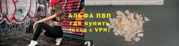 ПСИЛОЦИБИНОВЫЕ ГРИБЫ Богданович