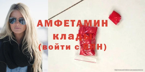 ПСИЛОЦИБИНОВЫЕ ГРИБЫ Богданович