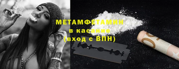 ПСИЛОЦИБИНОВЫЕ ГРИБЫ Богданович