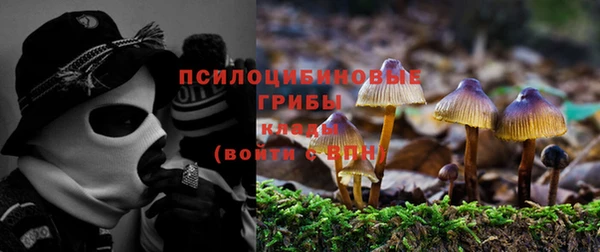прущая мука Богородицк