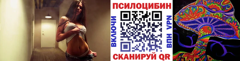 купить   Пестово  Галлюциногенные грибы Psilocybine cubensis 